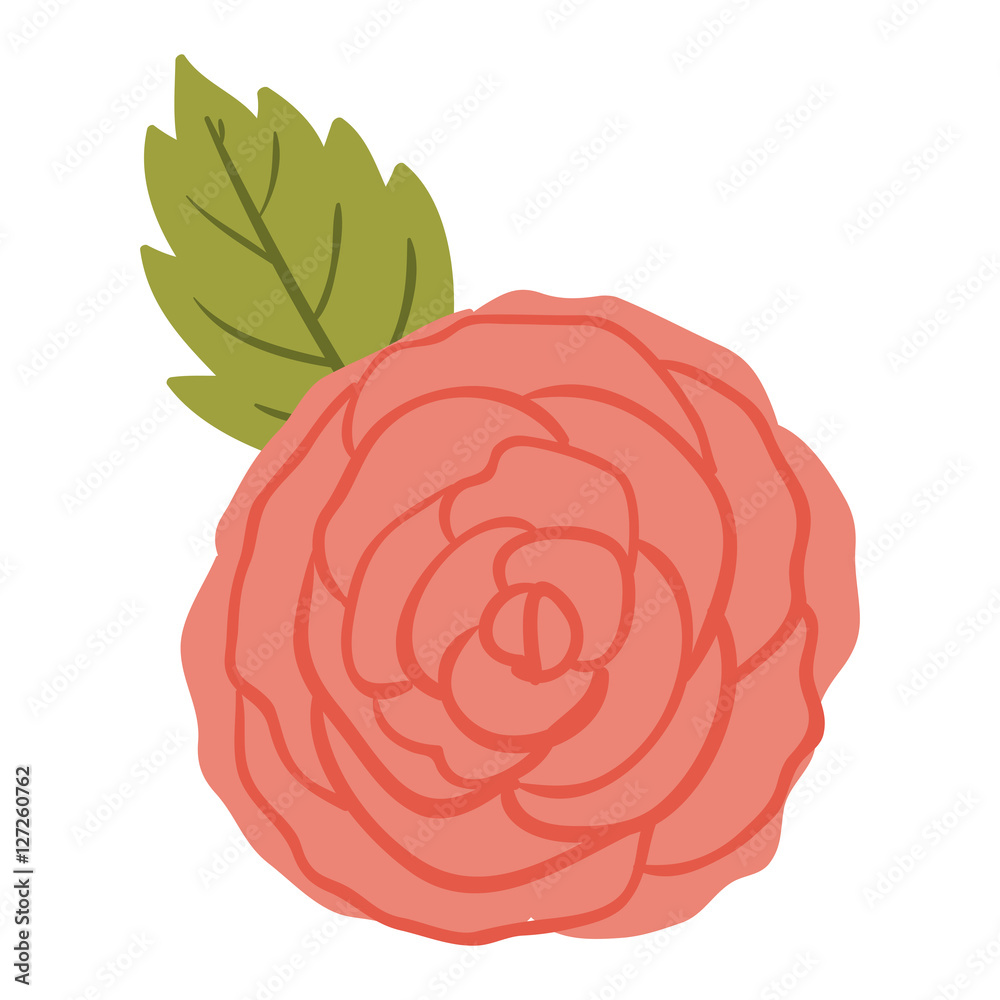 Rose flower icon. Decoration rustic garden floral nature plant and spring theme. Isolated design. Vector illustration Rose flower icon. Decoration rustic garden floral nature plant and spring theme. Isolated design. Vector illustration