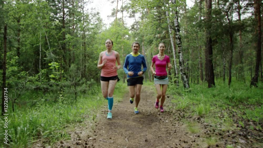 run training in the forest run training in the forest