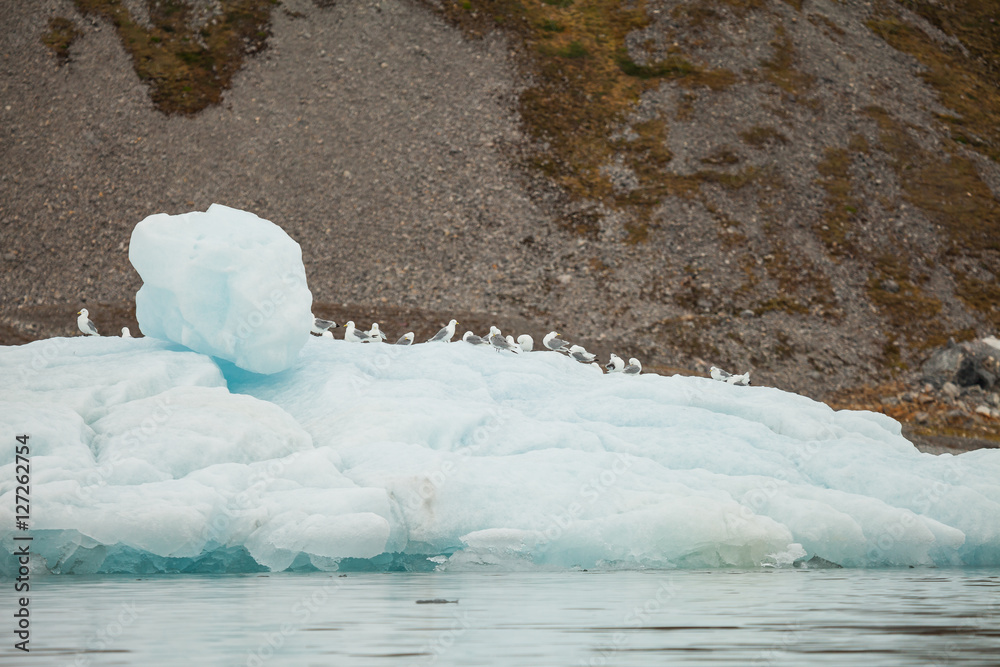 Fotografie mountains glacier in arctic