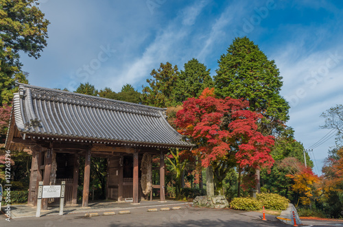 四国第八十二番札所根香寺の紅葉