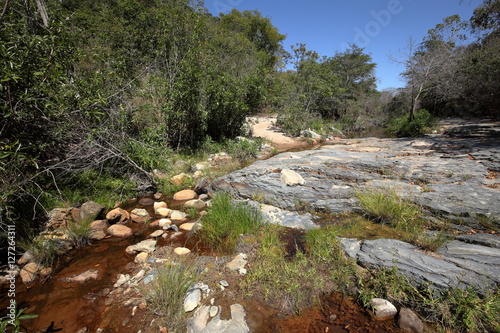 Die Landschaft der Caatinga in Brasilien  photo