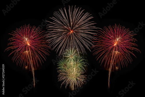 Colorful fireworks on the black sky background.