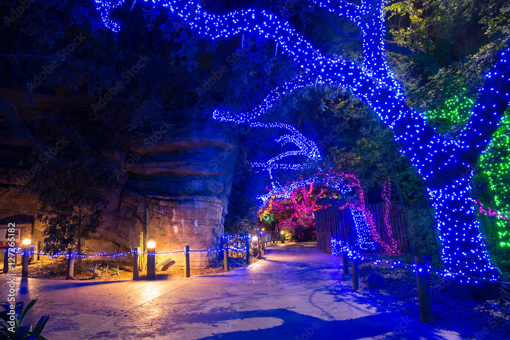 Houston Zoo Light decoration for christmas