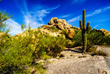 Desert Landscape and Large Rock Formations with Saguaro Cacti at the Boulders in the desert near Carefree Arizona