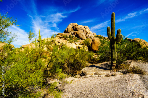 фотографія Desert Landscape and Large Rock Formations with Saguaro Cacti at the Boulders in