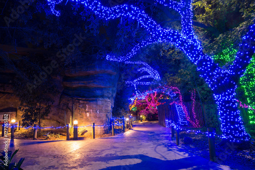 Houston Zoo Light decoration for christmas