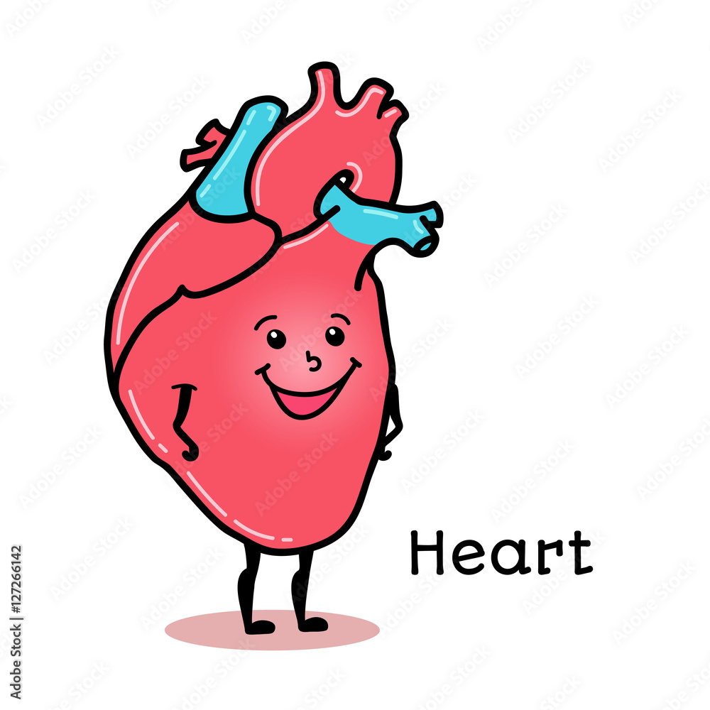 Cute and funny human heart character, cartoon vector illustration isolated  on white background. Healthy smiling heart character with arms and legs  Stock Vector | Adobe Stock