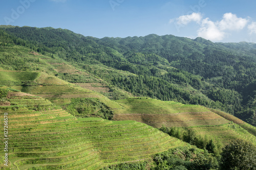 terraced fields