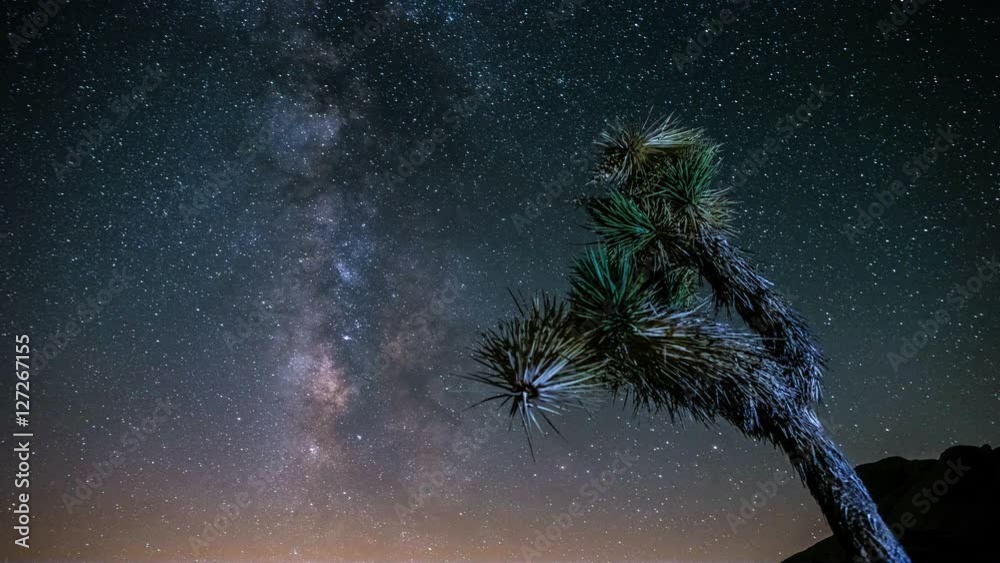 Milky Way Night Sky Joshua Tree Timelapse