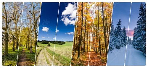 Four season collage from shots with roads in landscape photo