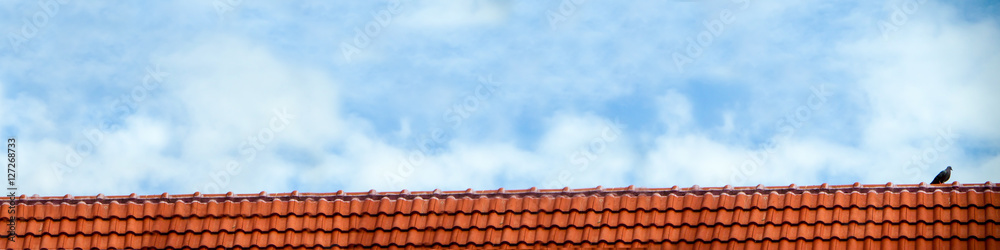 pigeon stand on roof and blue sky white cloud pigeon stand on roof and blue sky white cloud