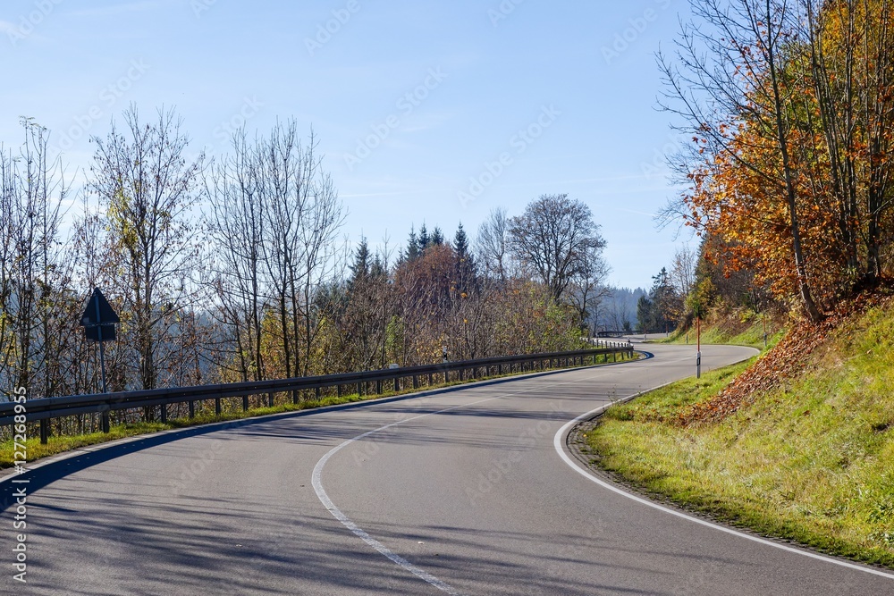 Fototapeta premium Wiejska droga w Czarnym Lesie