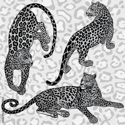 Vintage background, exotic style fashion seamless pattern