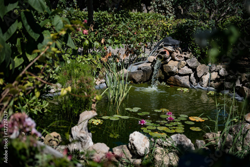 Fotografia Bassin aquatique