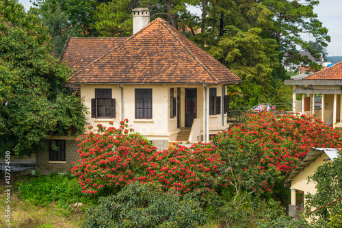 Country cozy sweet house in a garden with tiled roof