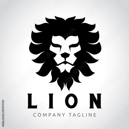 Fototapeta Naklejka Na Ścianę i Meble -  Lion logo, animal logo, vector logo template.