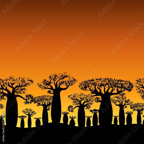 Fototapeta seamless decorative border of baobabs silhouette on sunset