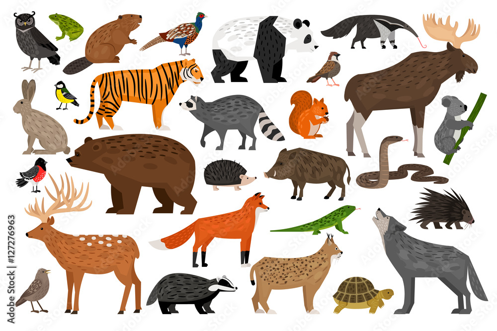 Collection of Forest wild animals Stock Vector | Adobe Stock