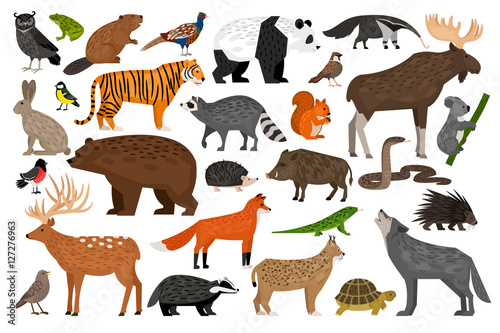 Collection of Forest wild animals © ianakauri