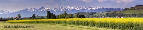 paesaggio di campagna in primavera in svizzera con montagne