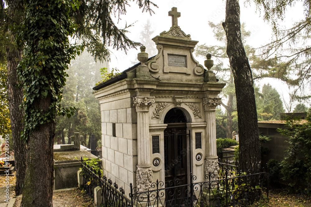 Old Tomb and fog. The main cemetery in Przemysl, Poland. The main municipal cemetery - founded approx. 1855 years. 2014 Old Tomb and fog. The main cemetery in Przemysl, Poland. The main municipal cemetery - founded approx. 1855 years. 2014