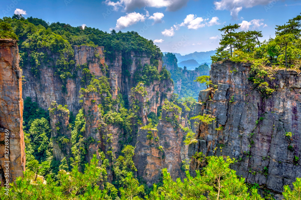 Sandstone columns in Zhangjiajie national park, China Sandstone columns in Zhangjiajie national park, China