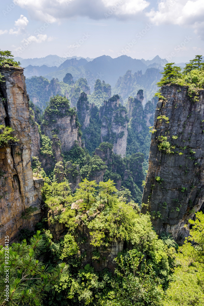 Fototapeta premium Sandstone columns in Zhangjiajie national park, China