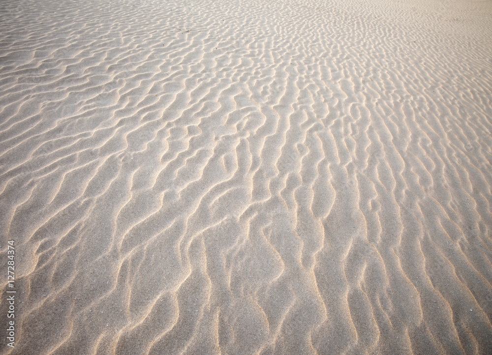 Low evening light in Dunes of Corralejo Low evening light in Dunes of Corralejo