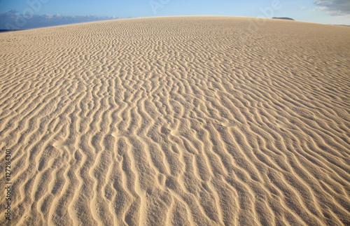 Low evening light in Dunes of Corralejo