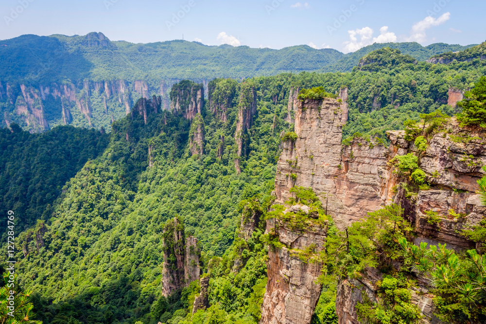 Sandstone columns in Zhangjiajie national park, China