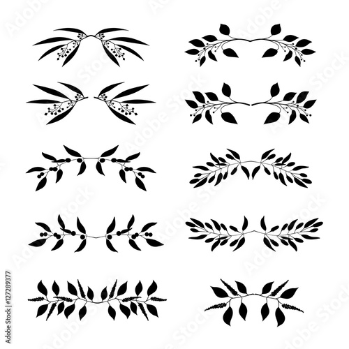 Elegant floral decorative elements set