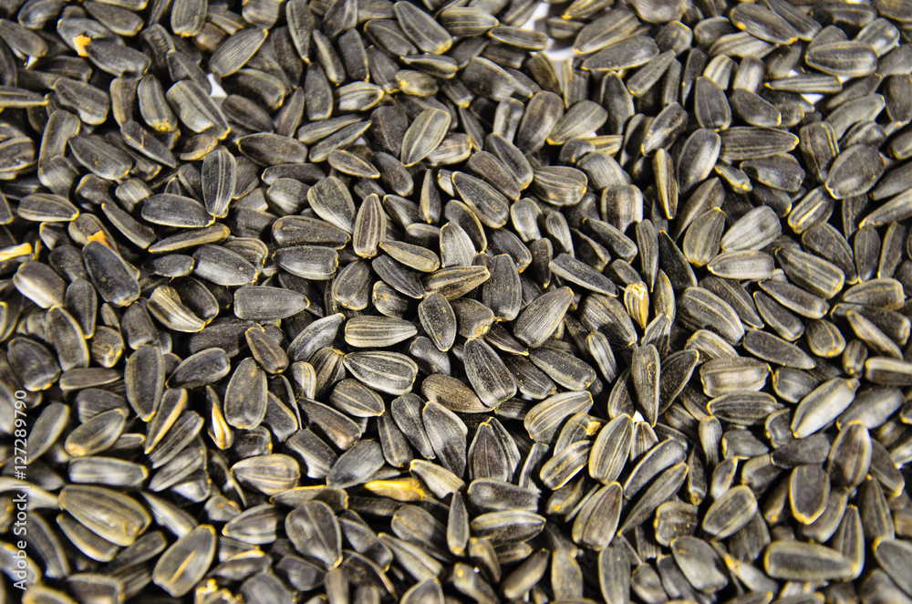 Backgroubd of black roasted sunflower seeds Backgroubd of black roasted sunflower seeds