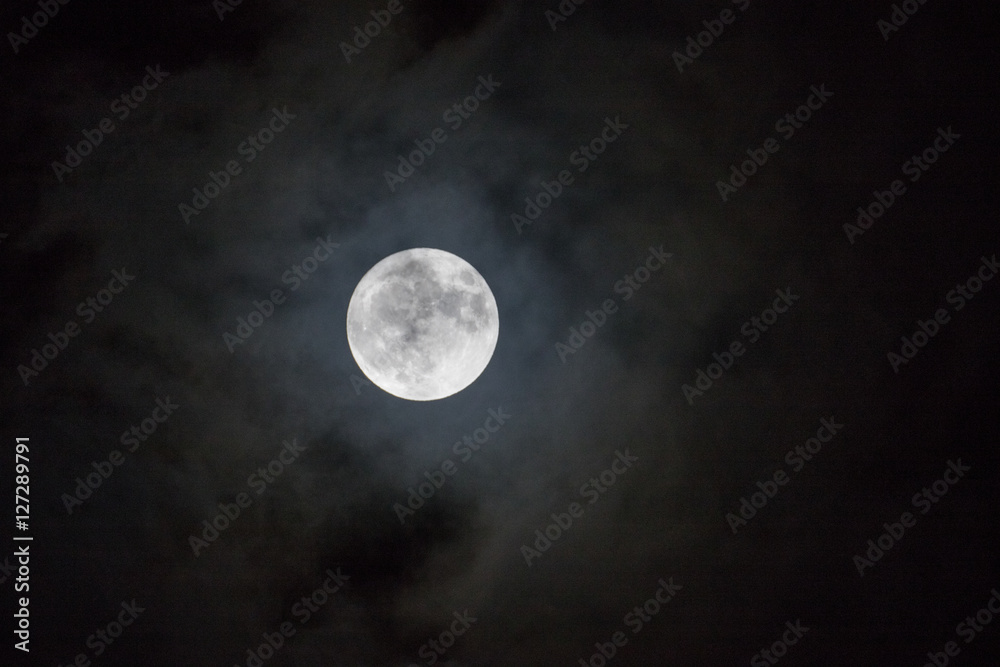 moon moon
