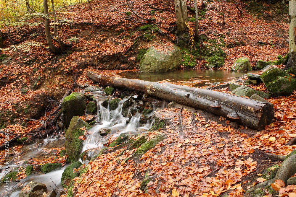 Stream in beech forest in a golden autumn in the Carpathians. Stream in beech forest in a golden autumn in the Carpathians.
