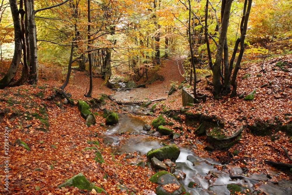 Stream in beech forest in a golden autumn in the Carpathians. Stream in beech forest in a golden autumn in the Carpathians.
