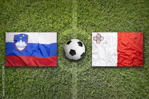 Slovenia vs. Malta flags on soccer field