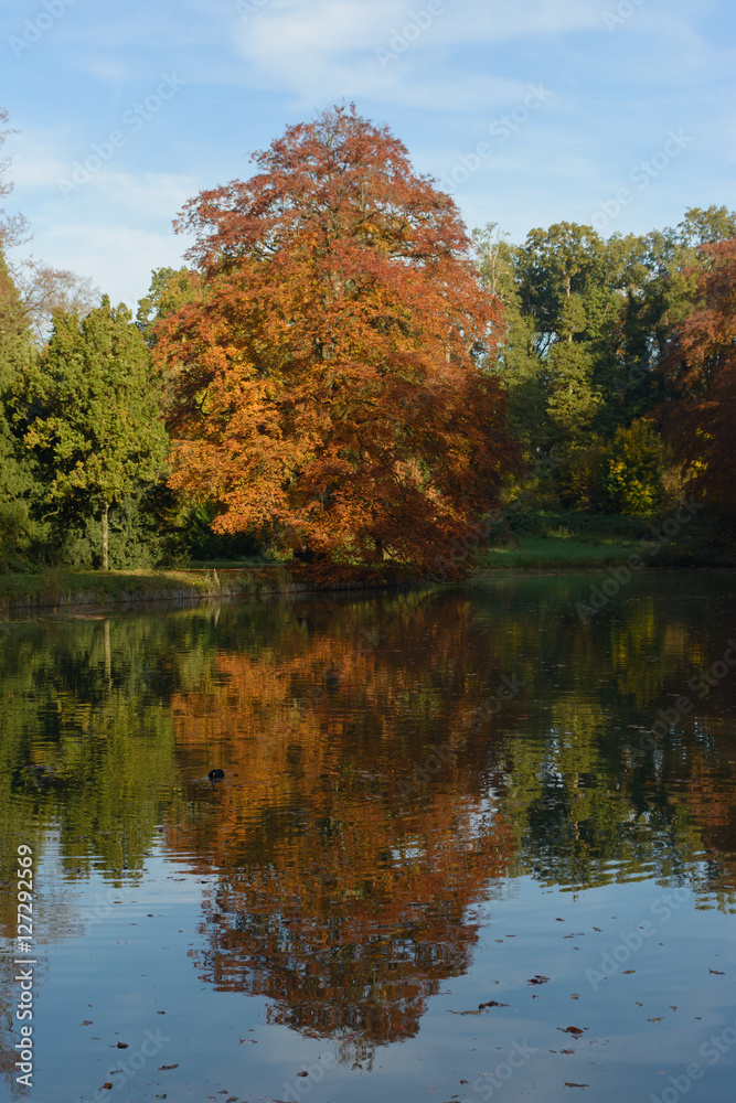 Autumn colours Autumn colours