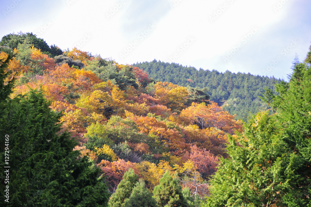 西日本の山、里山の紅葉
