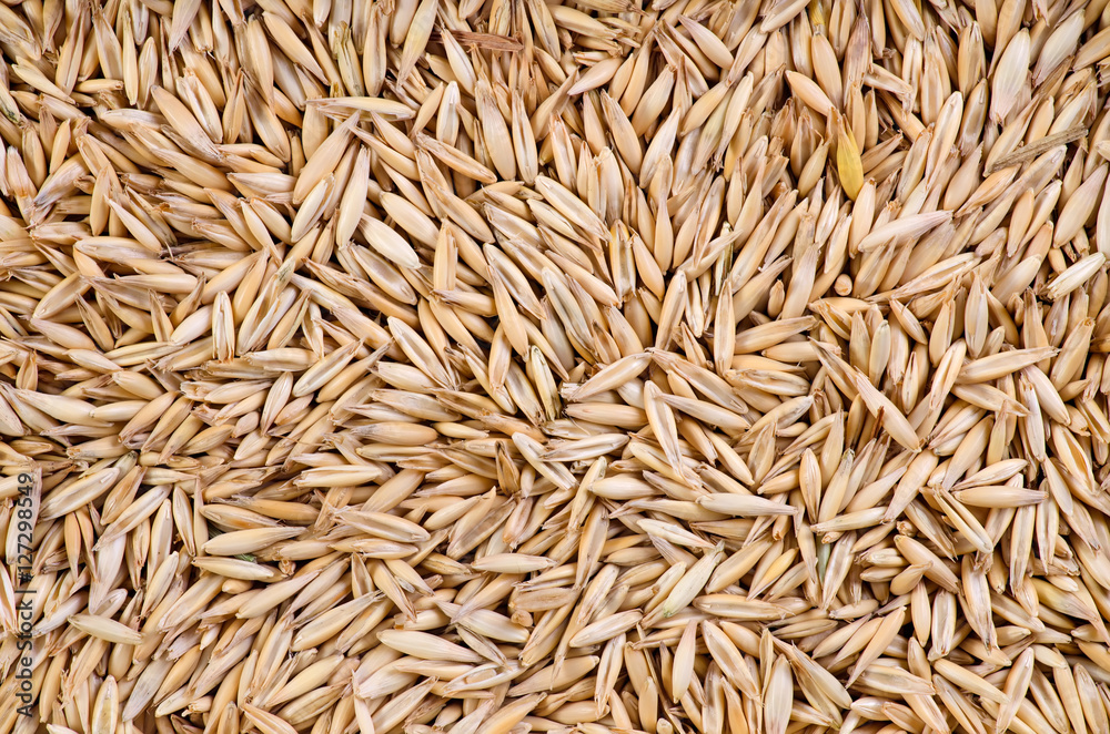 oats background macro