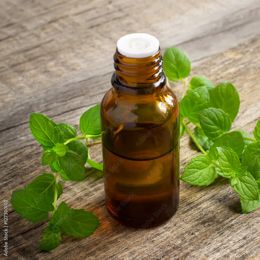 Essential oil of peppermint in a small bottle with fresh mint Essential oil of peppermint in a small bottle with fresh mint
