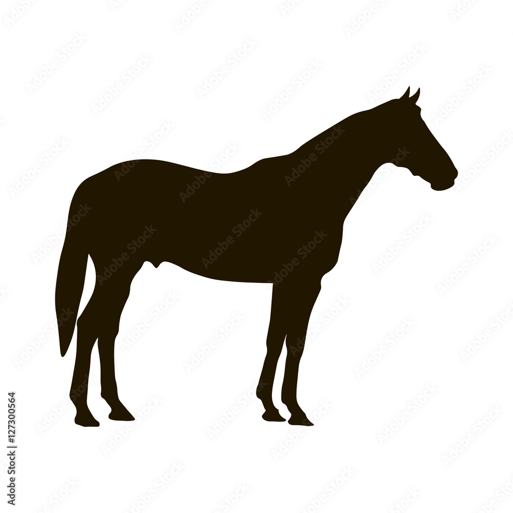 Silhouette of horse isolated on white backbround