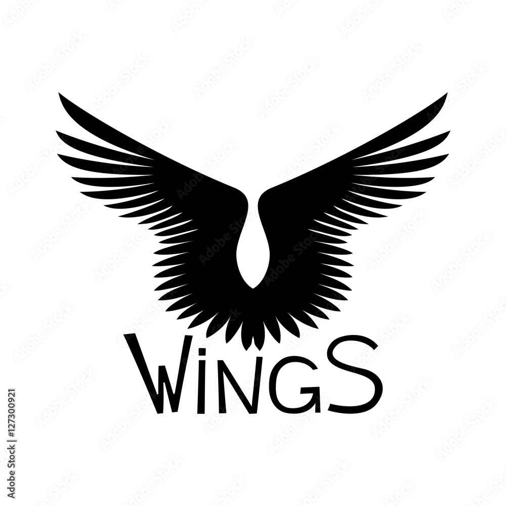 Obraz premium Wings.