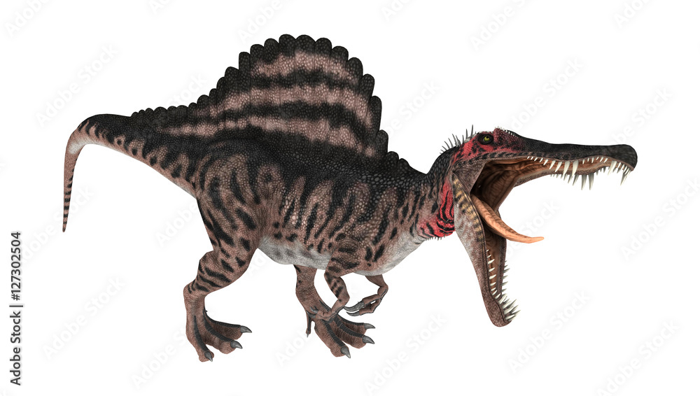 3D Rendering Dinosaur Spinosaurus on White 3D Rendering Dinosaur Spinosaurus on White