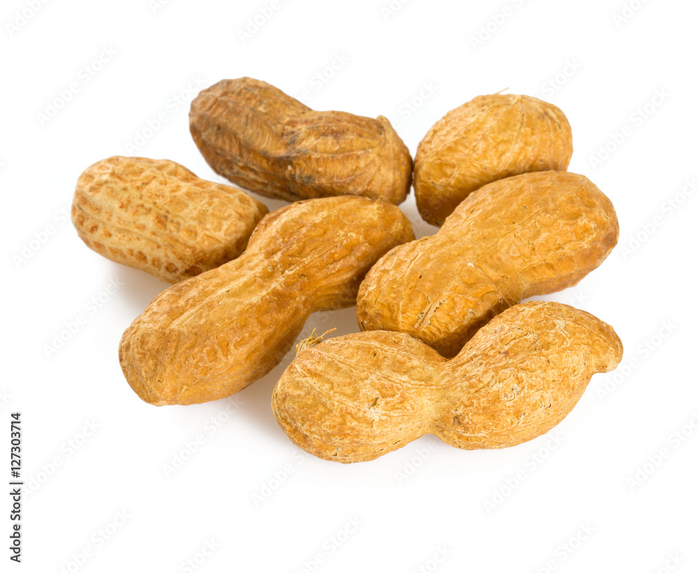 peanuts on white background peanuts on white background