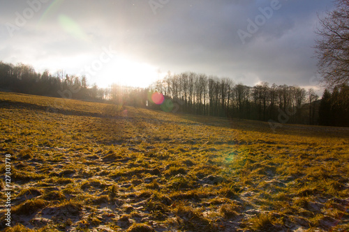 kleiner Wald auf Anhöhe im Gegenlicht