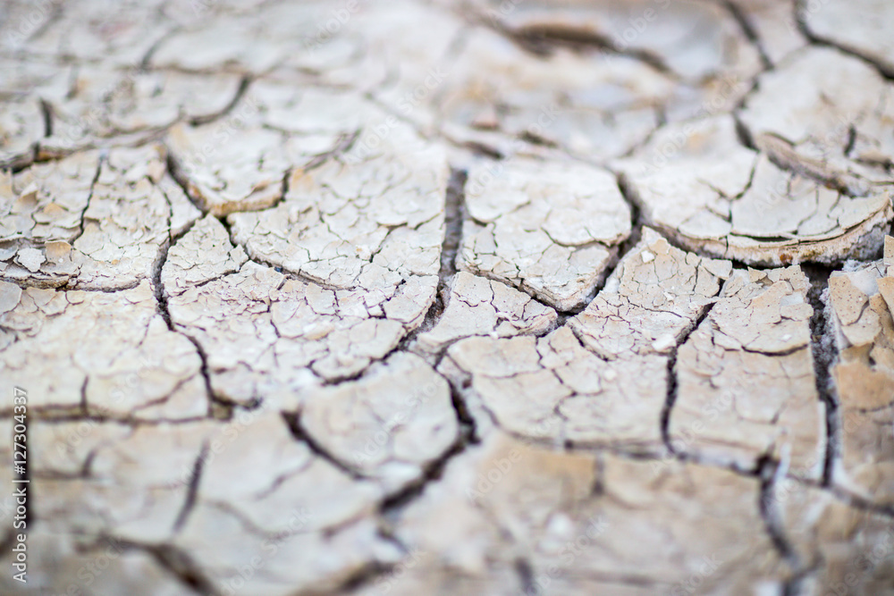 Obraz premium Dry and cracked earth texture for background.