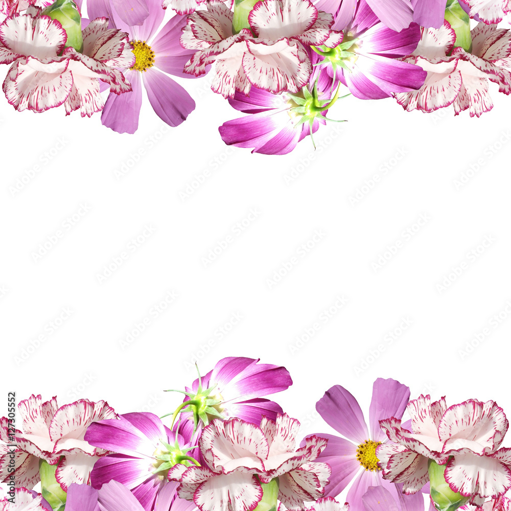 Beautiful floral background with pink carnations and kosmeya 