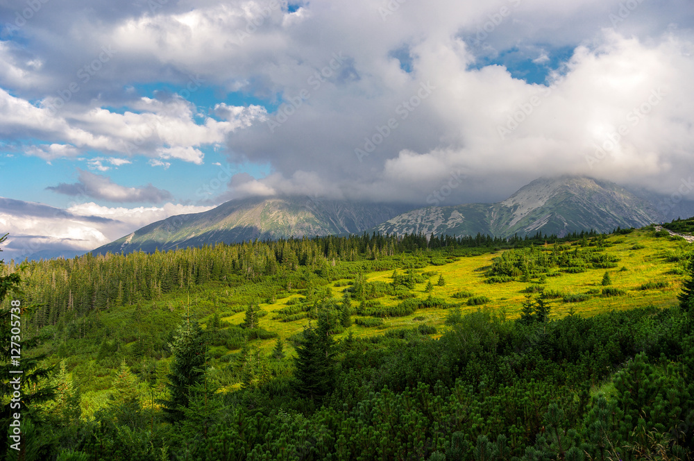 Panorama mountain summer landscape. Tatry
