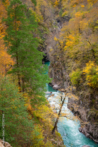 Colorful canyon of mountain river in fall season