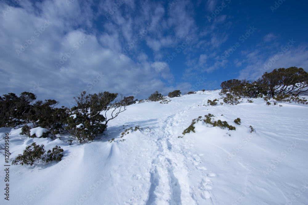 山頂に向かって続くトレース